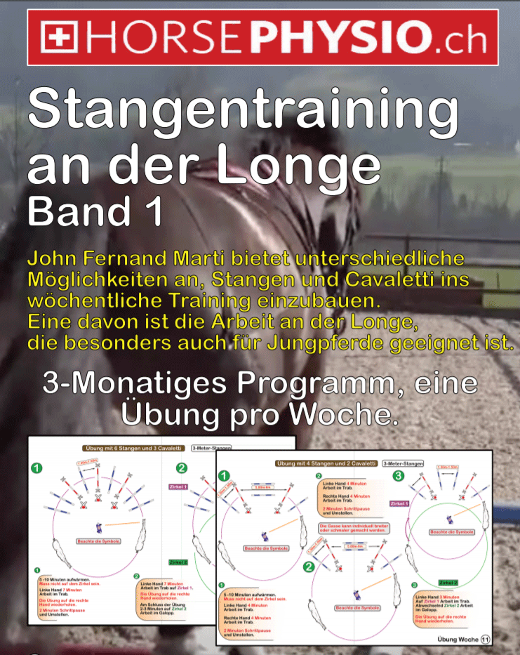 Stangentraining Band 1