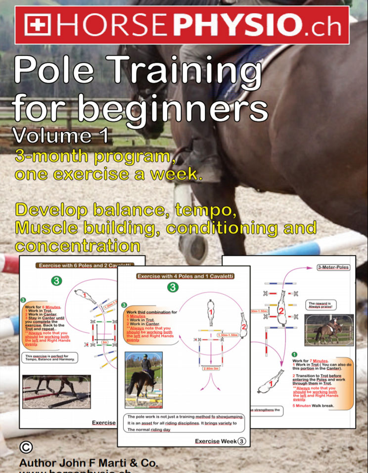 Pole Training for beginners Volume 1