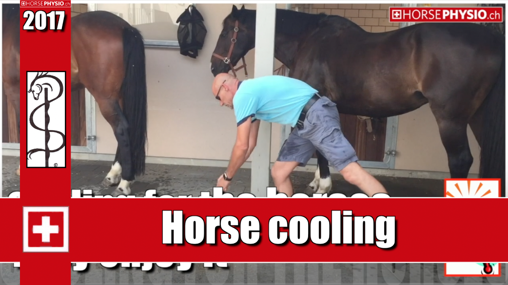 Slow cooling for the horses on hot days
