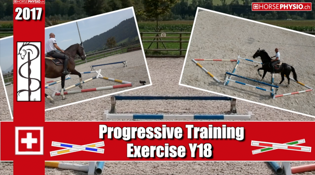 Progressives Training Exercise Y18