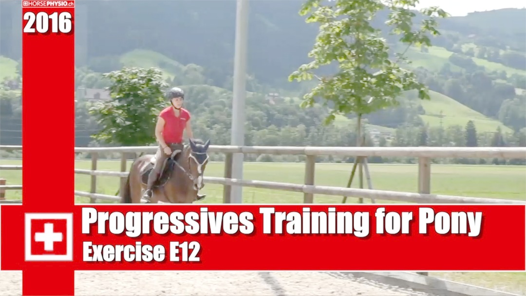 Progressives Training for Pony