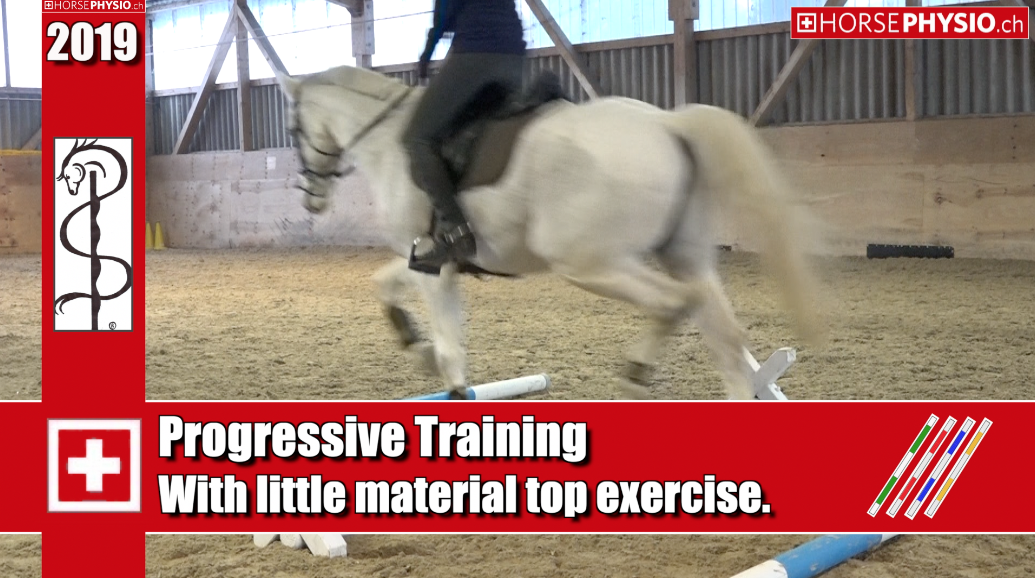 Progressives Training example
