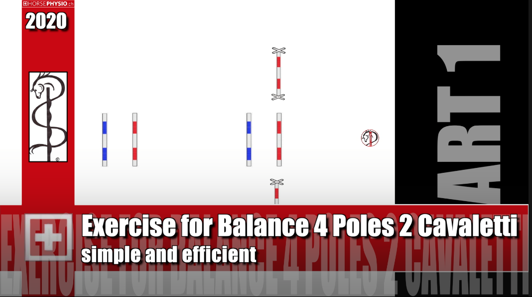 Exercise for Balance 4 Poles " Cavaletti