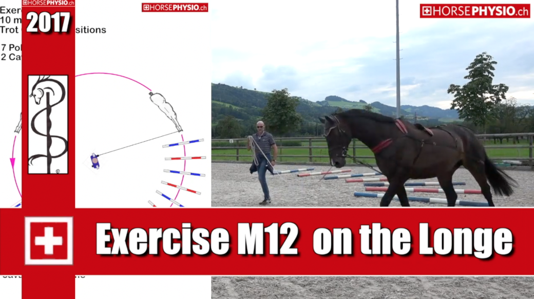 Exercise M12 Transitions