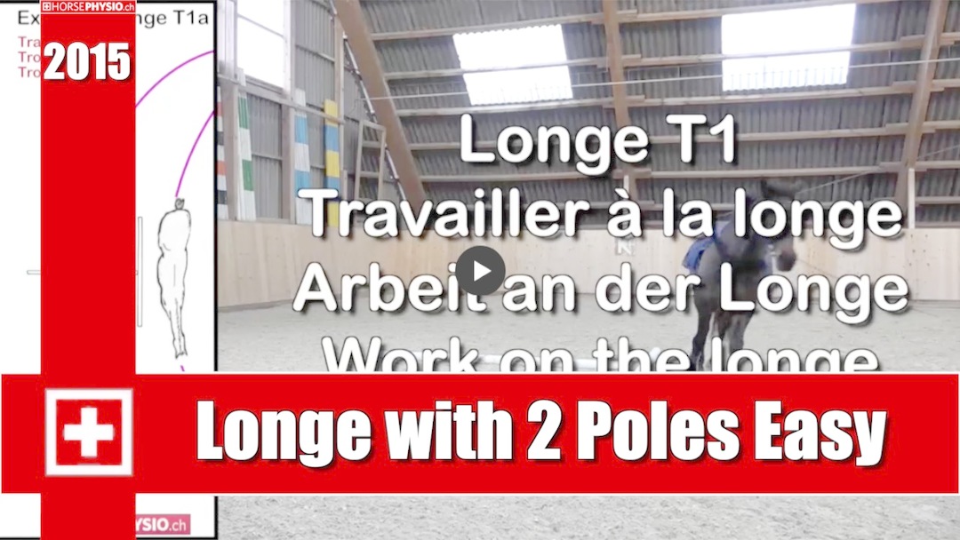 Exercise Longe with 2 Poles