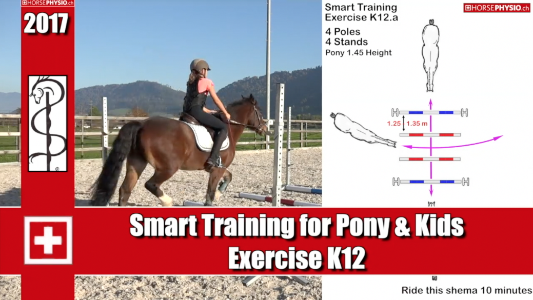 Smart training for Pony & Kids