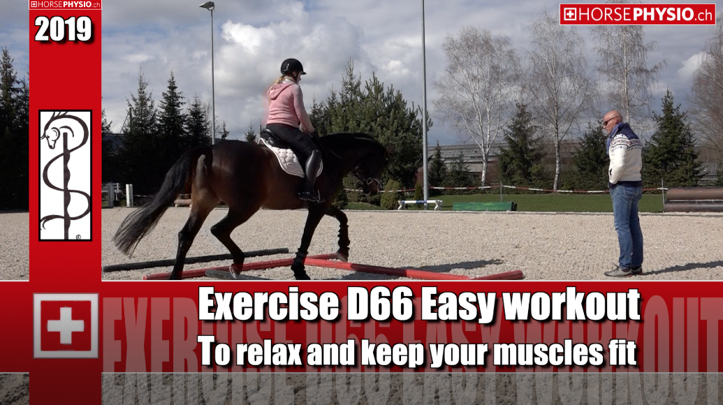 Exercise D66 To relax and keep muscles fit