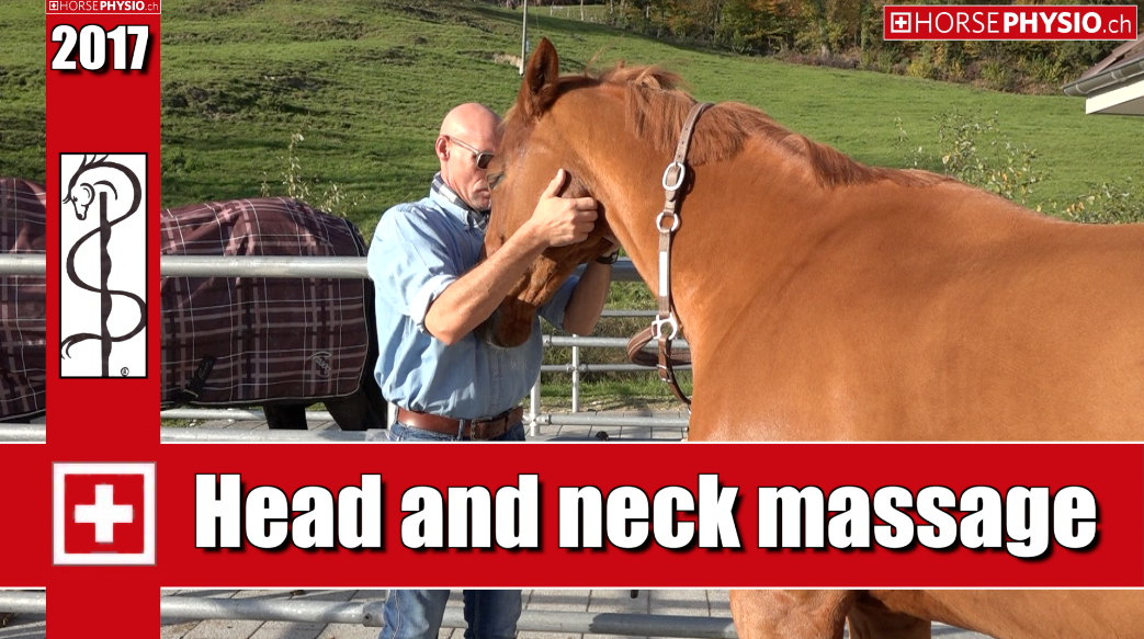 Head and Neck Massage