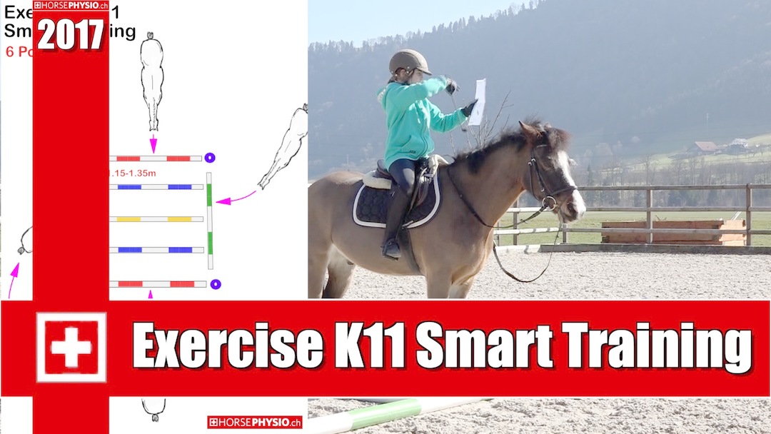 Exercises K11 Smart Training