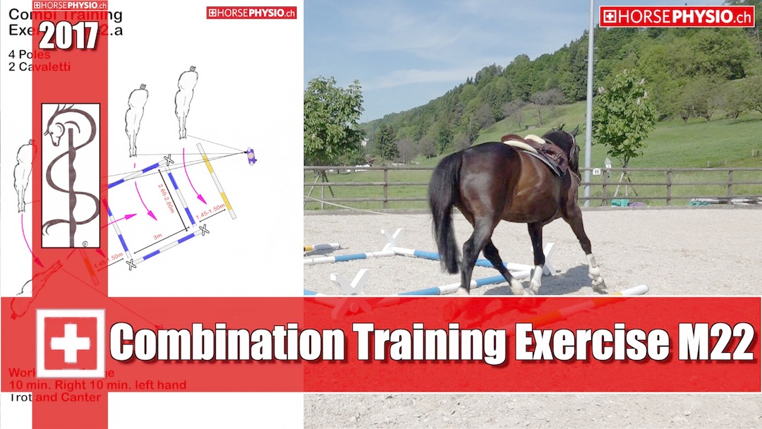 Combination Training Exercise M22