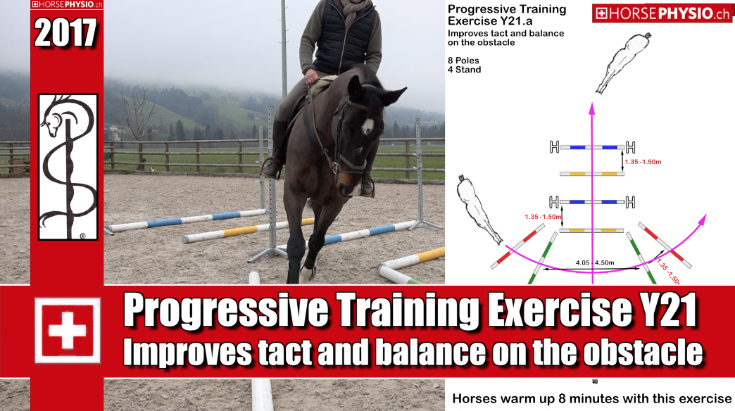 Progressive Training exercise Y21