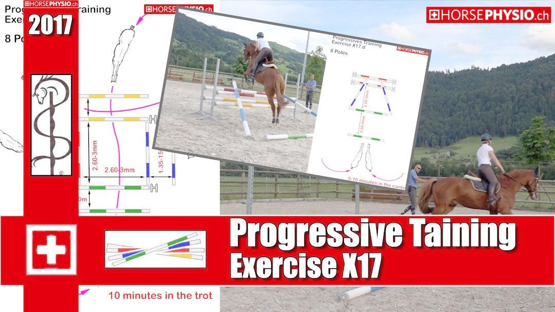 Progressive Training X17