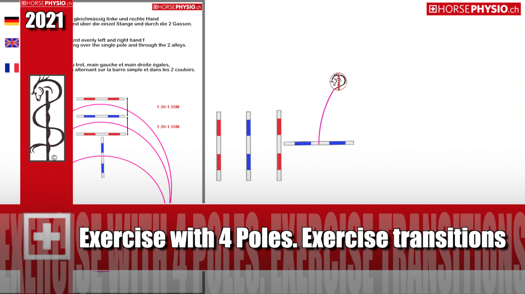 Exercise with 4 Poles