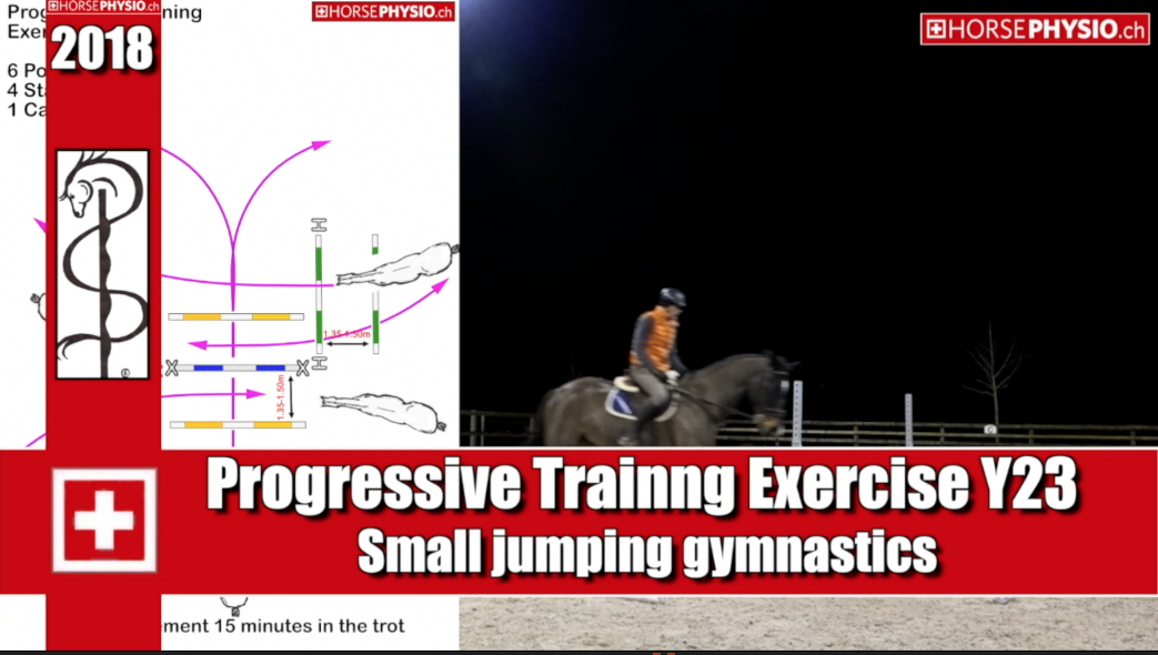 Progressive Training Exercise Y23