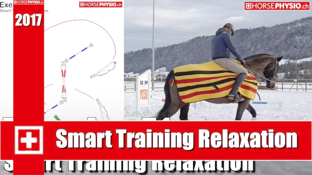 Smart Training Relaxation
