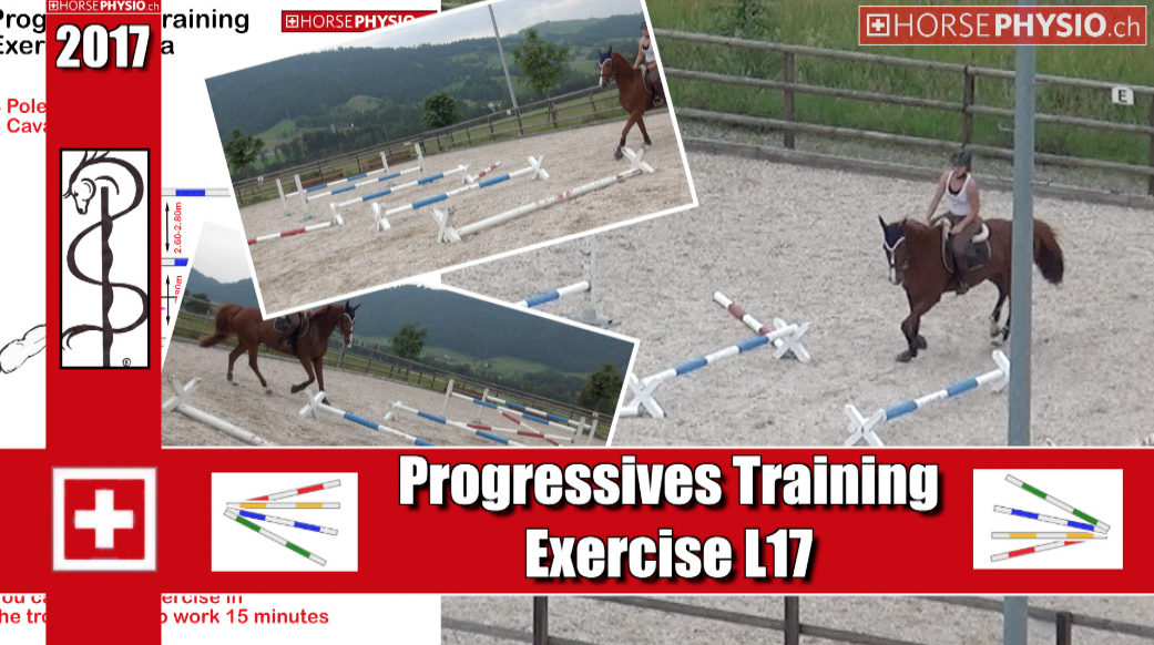Progressive Training L17
