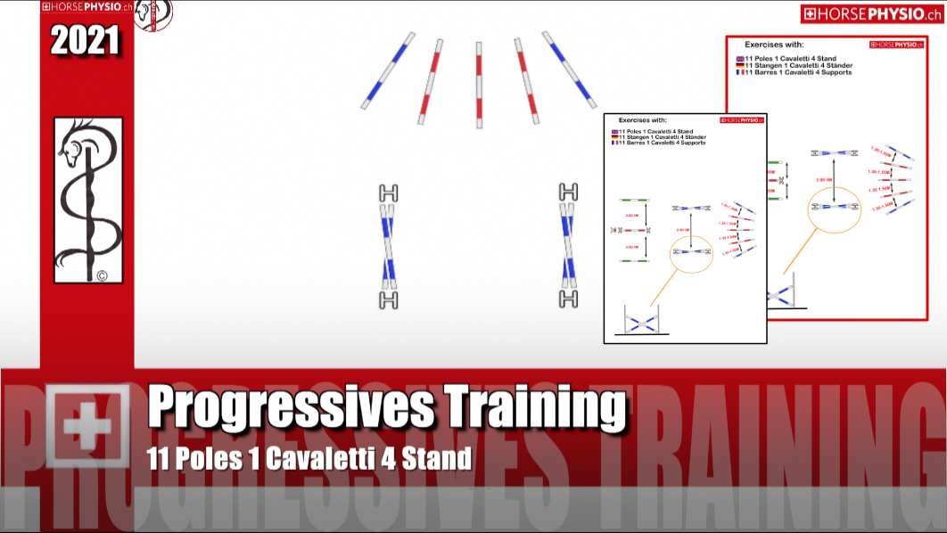 Progressive Training