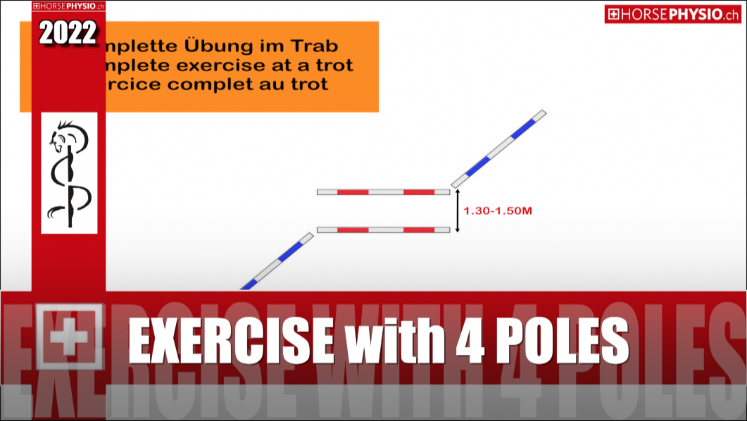 Exercise with 4 Poles