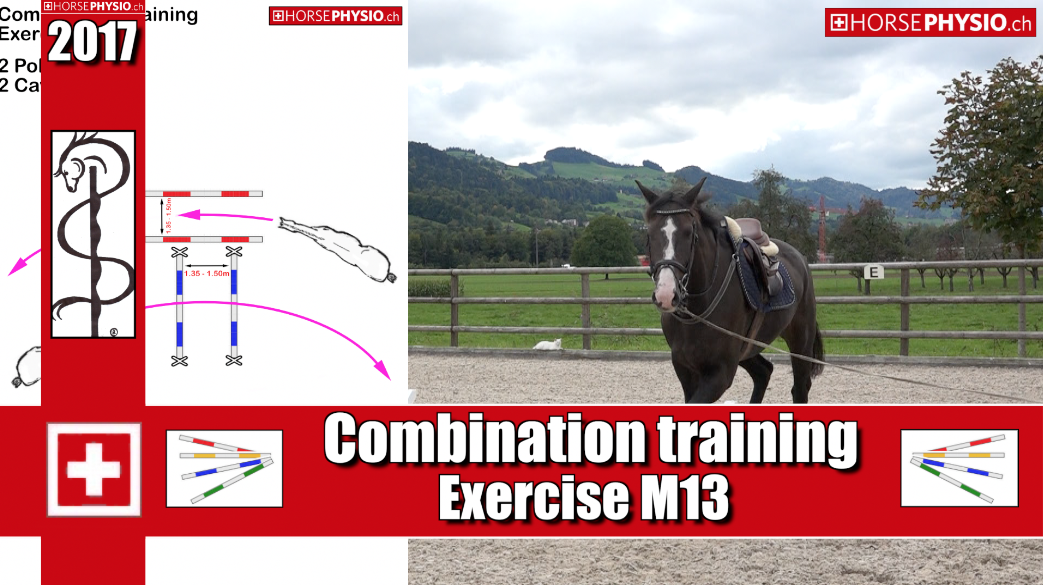 Combination Training Exercise M13