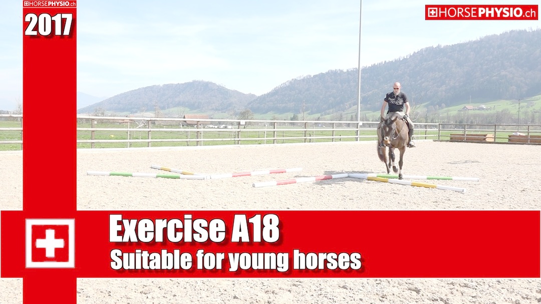 Exercise A18 Suitable for young horses