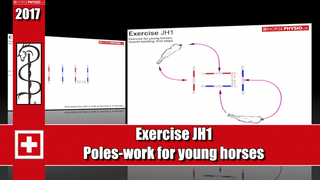 Exercise JH1 For young horses