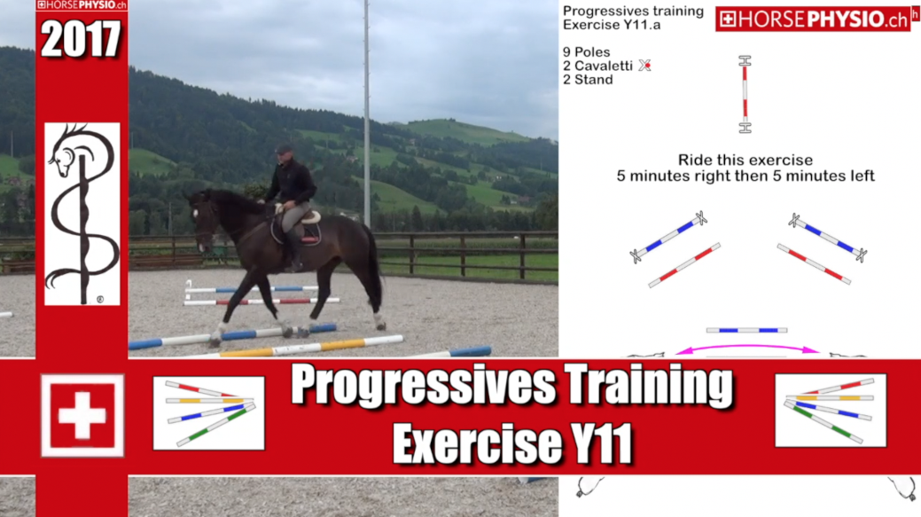 Progressive training Y11