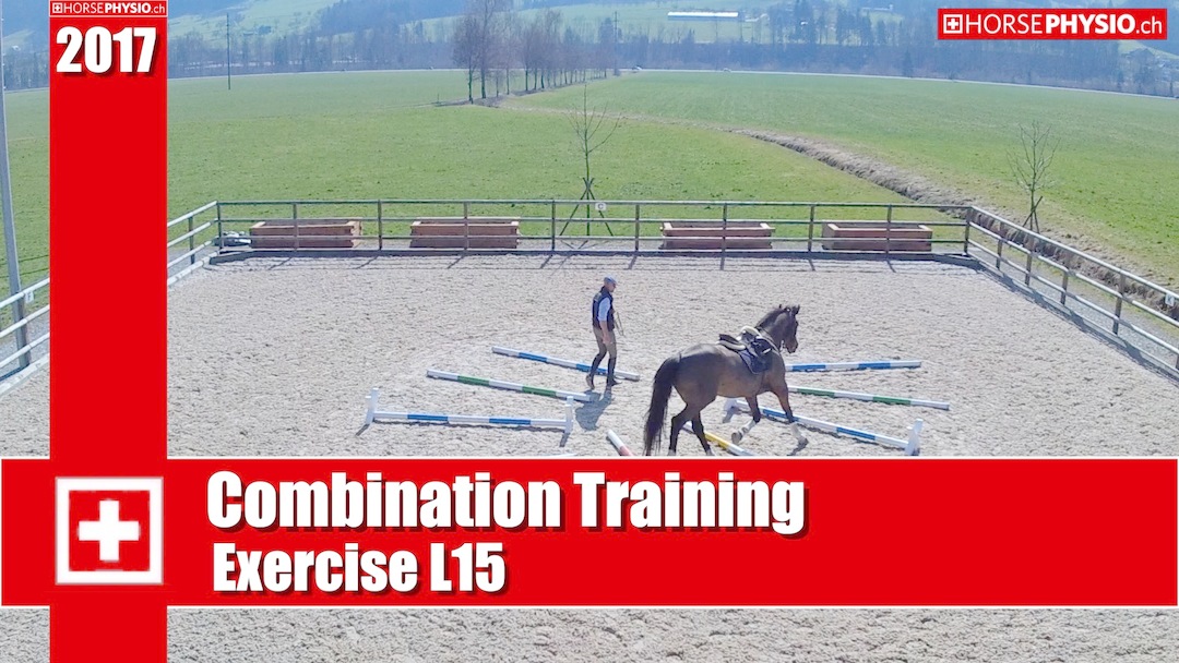 Combination Training Exercises L15