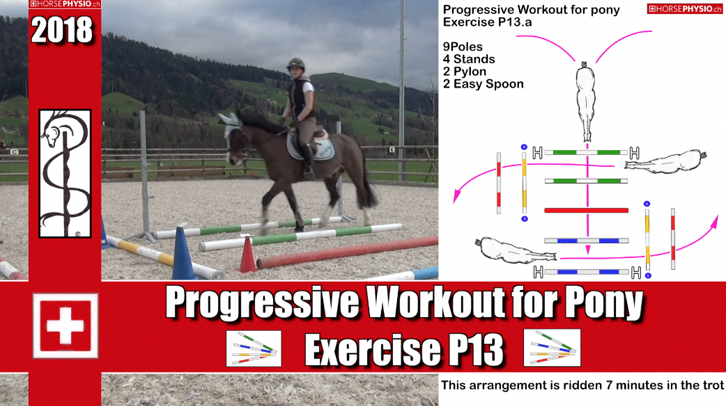 Progressive Training for Pony and other