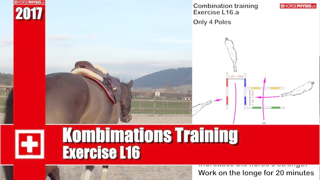 Exercise L16 Combination Training
