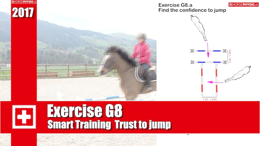 Exercises G8 Smart Training