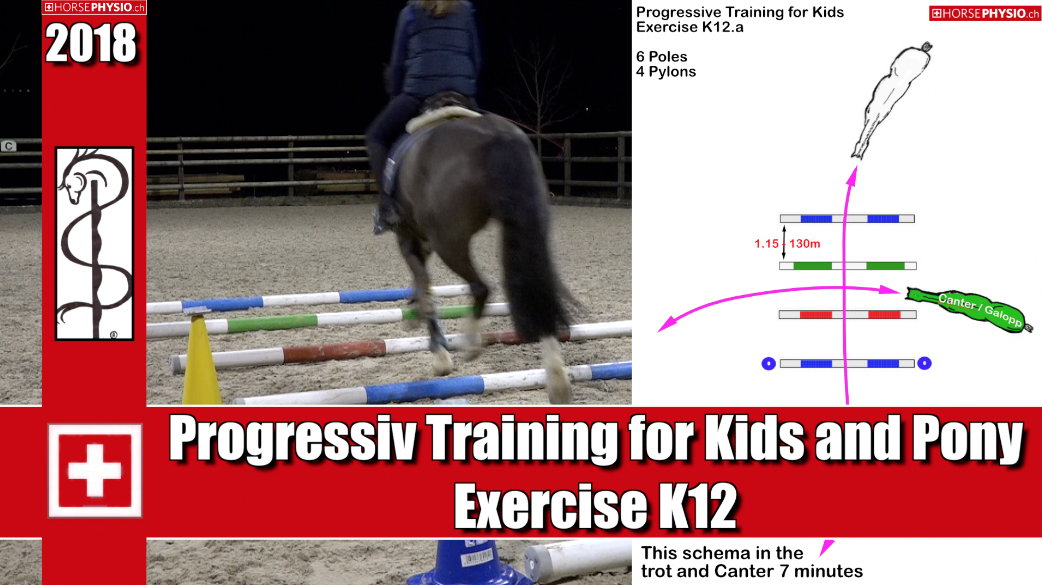 Progressive Training for Kids K12
