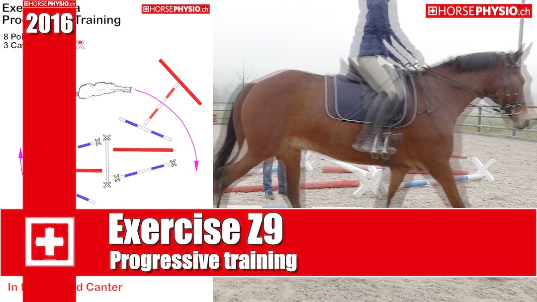 Progressives Training Exercises Z9
