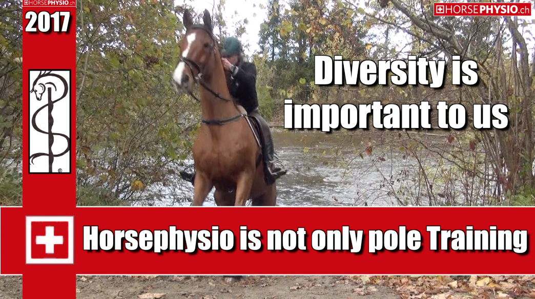 Why Horsephysio?