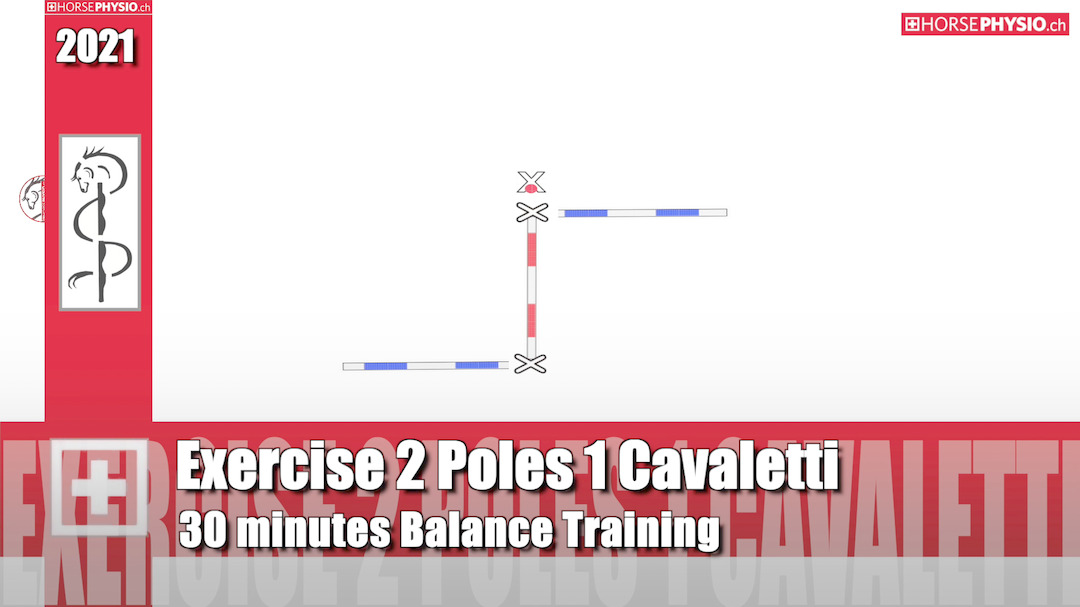 Exercise for Balance 1 Cavaletti 2 Poles